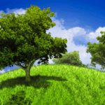 Il 22 aprile si celebra la Giornata della Terra